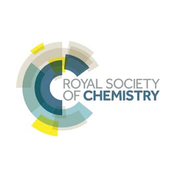 Royal Society Of Chemistry Rsc Summer Placement Student Ladder
